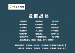 <b>2025-2031年全球及中国南非投资现状阐发及投资风</b>